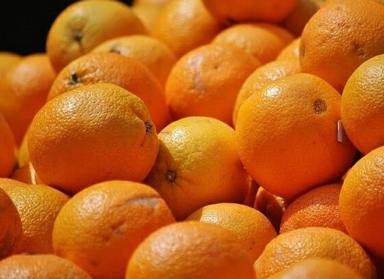 Preço da laranja pera é o maior em 30 anos