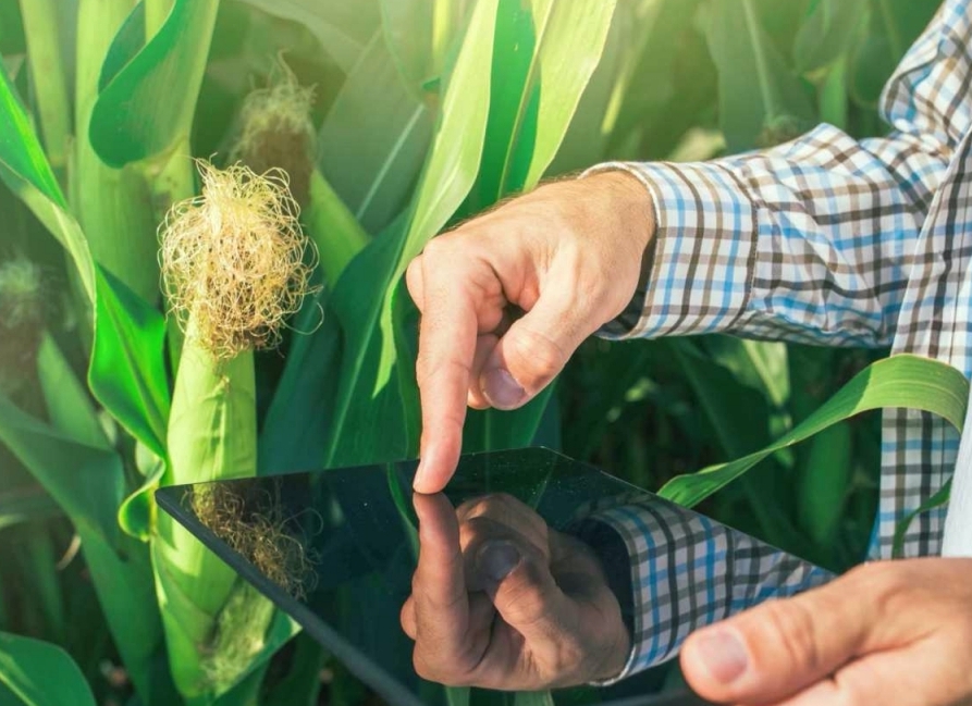 Pesquisa destaca cinco tecnologias digitais em alta no agro antes da porteira