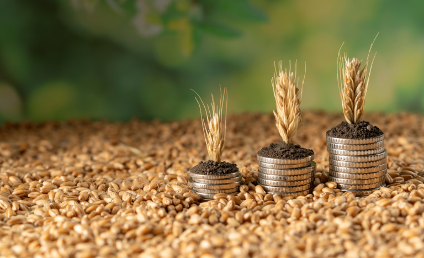 Prévia do PIB de julho indica recuo do agro em meio à lentidão da renegociação das dívidas, alerta FPA