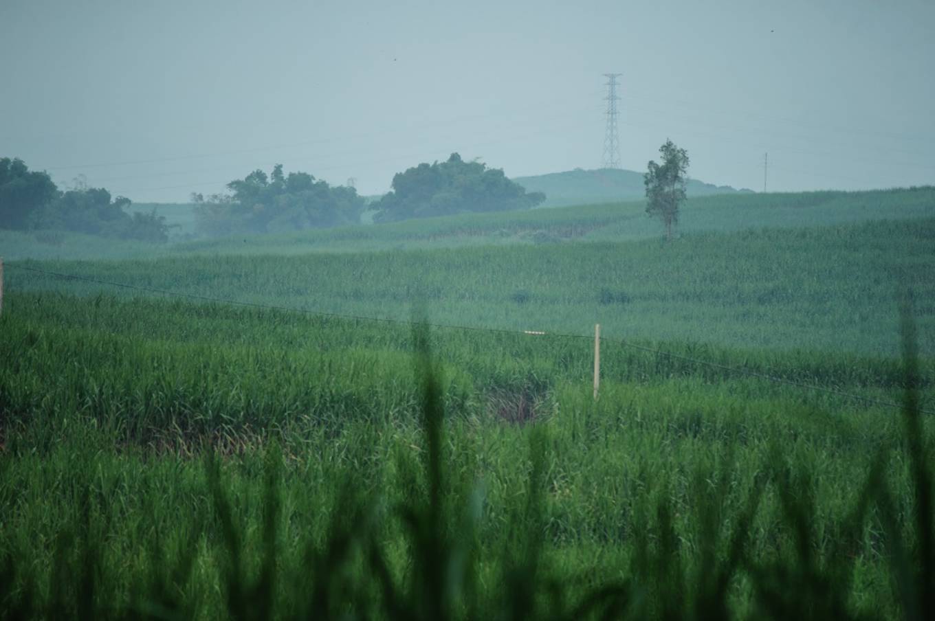 El Niño fará Brasil ter inverno com menos frio