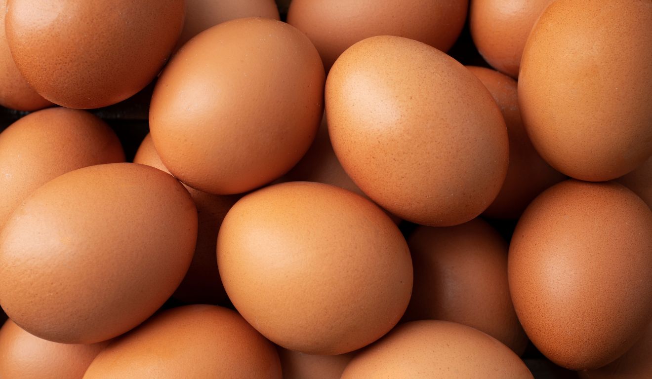 Empresa dos EUA faz recall de 1,6 milhão de dúzias de ovos por risco de salmonela