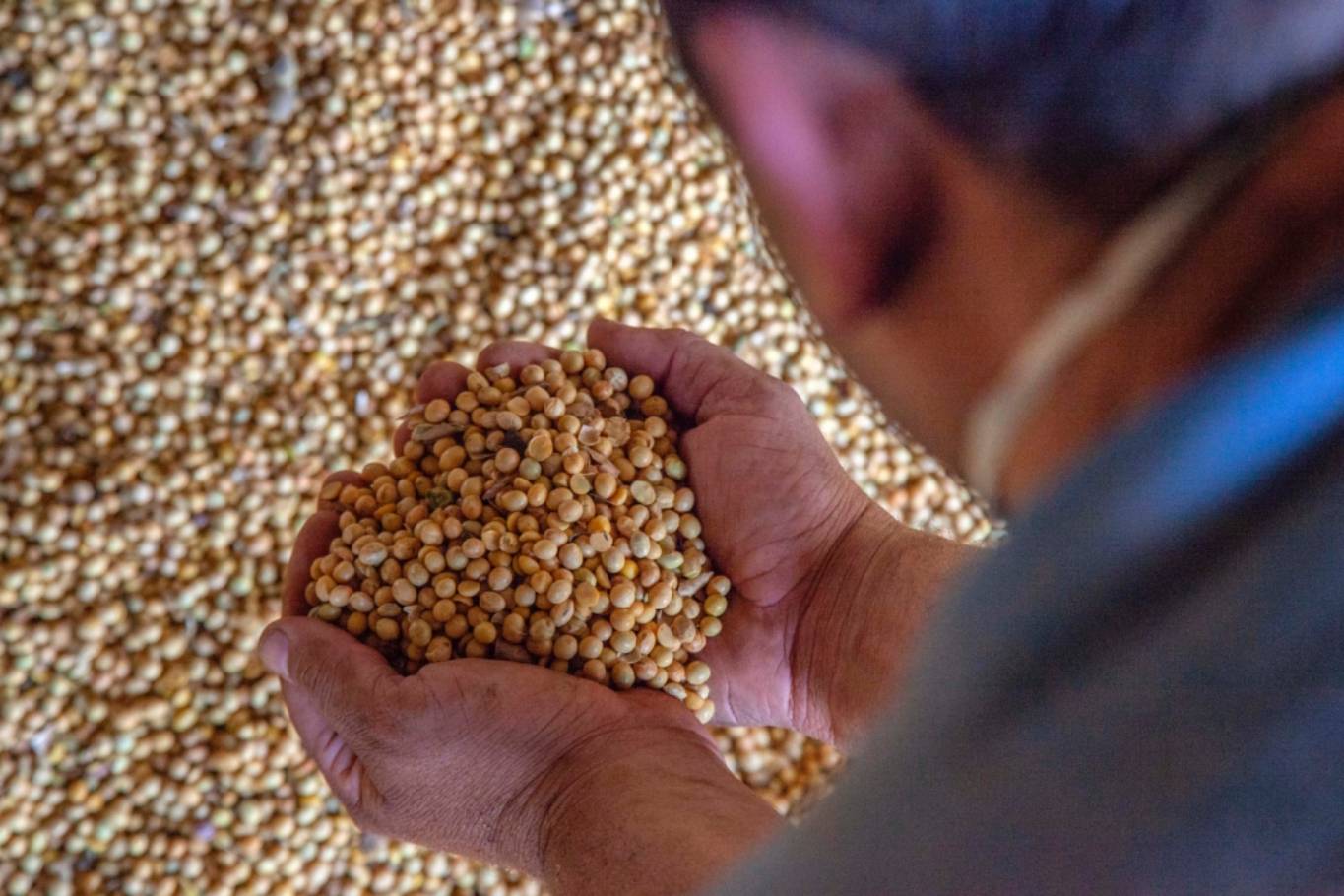 Cofco vai investir na expansão de cadeias de valor sustentáveis no agro brasileiro